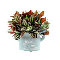 uploads/erp/collection/images/Home Garden/CongDing/XU0610698/img_b/XU0610698_img_b_5